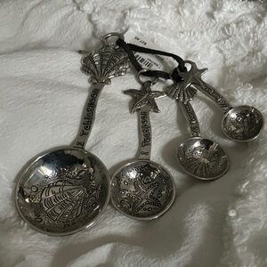 GANZ Silver Measuring Spoons Set